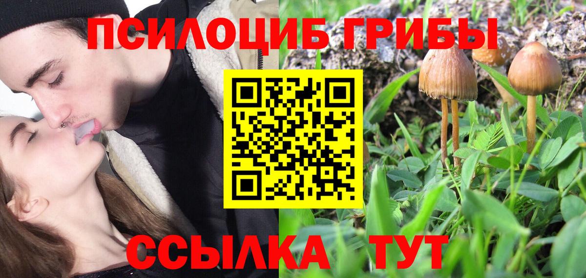 Галлюциногенные грибы ЛСД Осинники