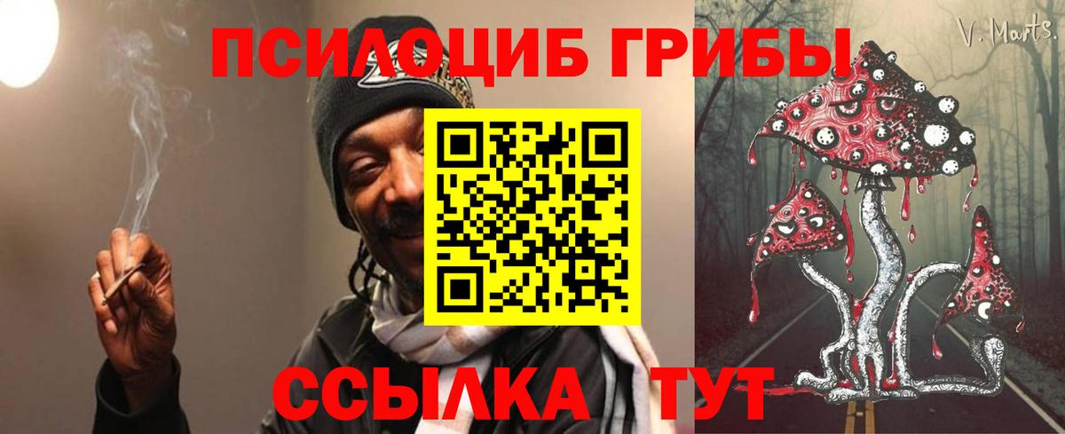наркошоп  Галлюциногенные грибы прущие грибы  Галлюциногенные грибы прущие грибы  Вход с VPN  Осинники 